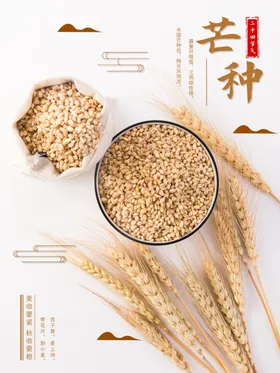 芒种广告宣传节气微信贴片