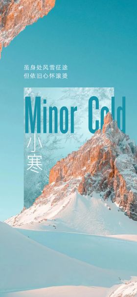 二十四节气小寒拼接海报