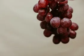 葡萄