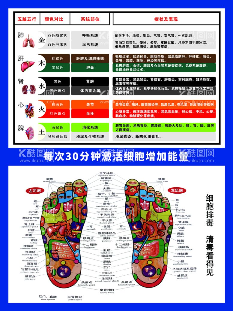 编号：12670409271056310693【酷图网】源文件下载-中科氢量海报30分钟细胞激活