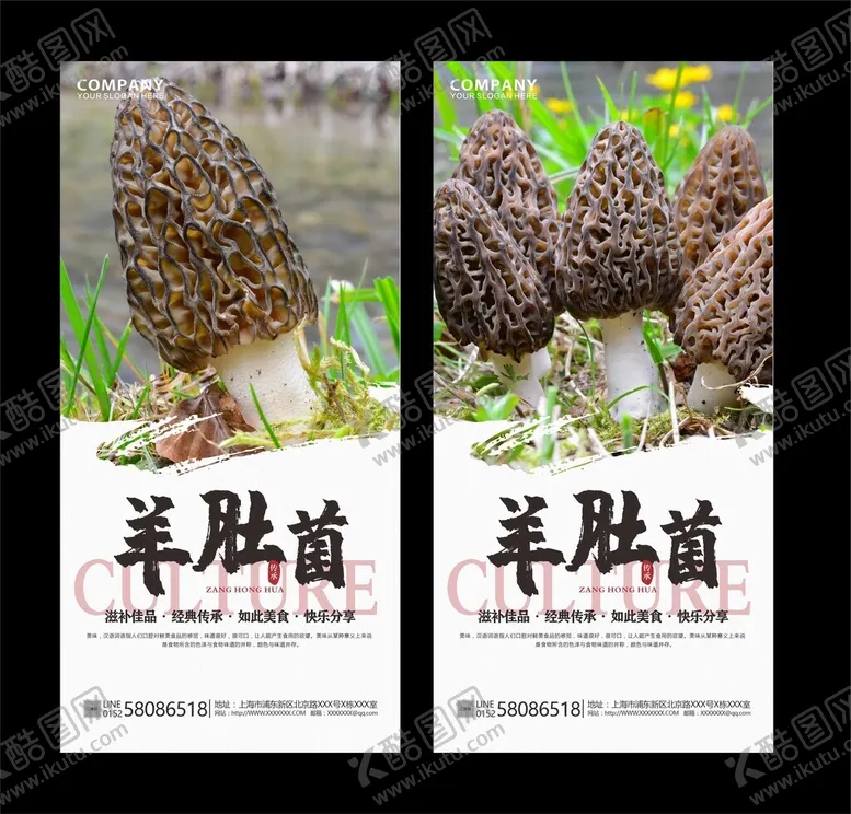 编号：79185202182044195949【酷图网】源文件下载-羊肚菌海报