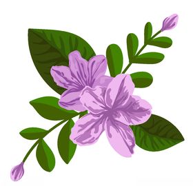 手绘花
