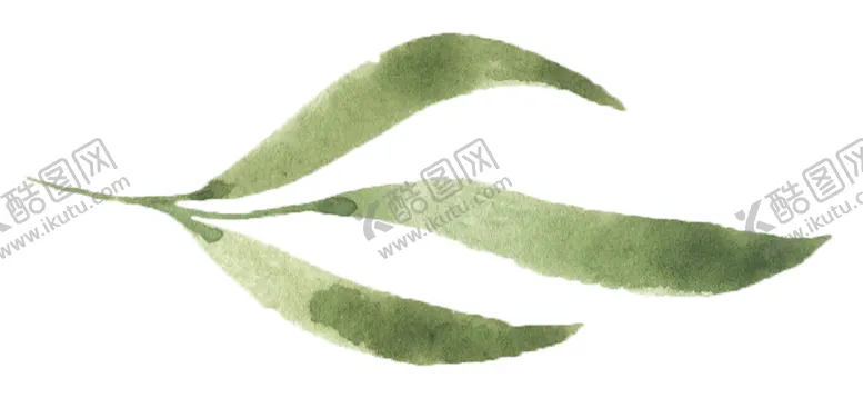 编号：26824206162031288711【酷图网】源文件下载-手绘植物花卉