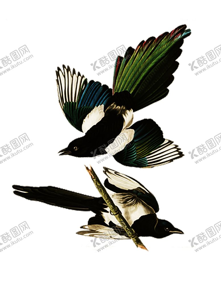 编号：67895010161921466150【酷图网】源文件下载-浪漫素材