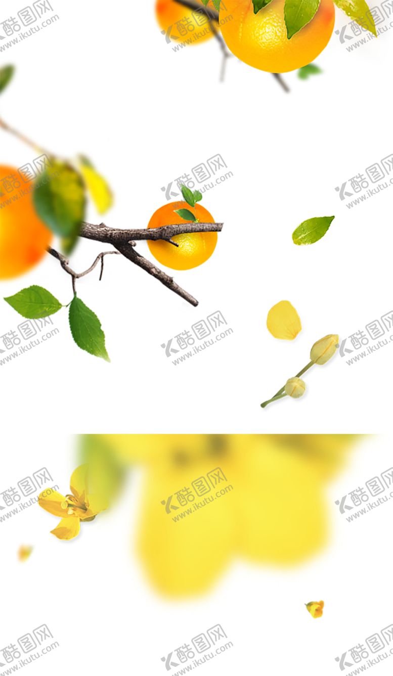 编号：85521609170626173786【酷图网】源文件下载-水果