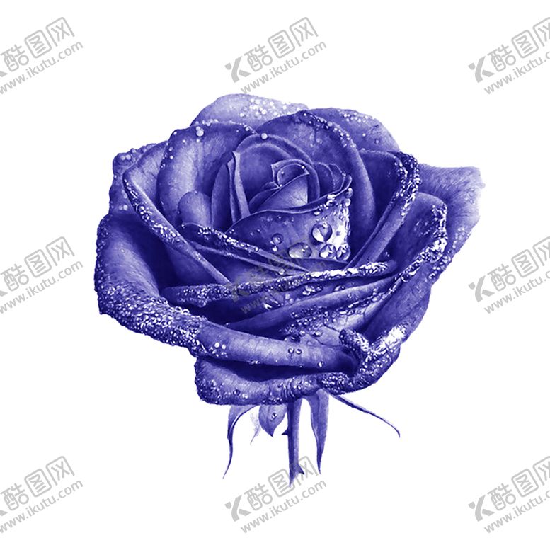 编号：84715209290340335641【酷图网】源文件下载-水花