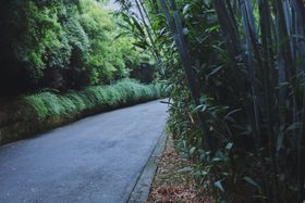 小路