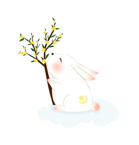 玉兔