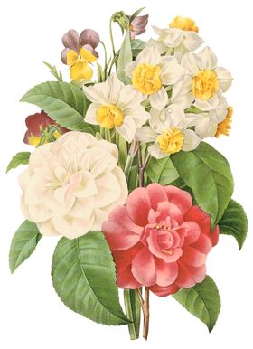 植物花卉油画装饰画