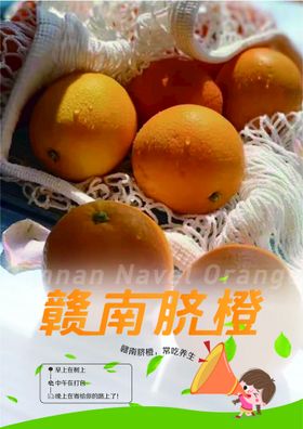 赣南脐橙绿色食品促销海报