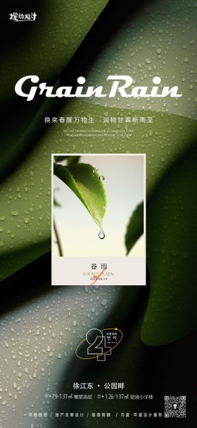 简约谷雨节气宣传