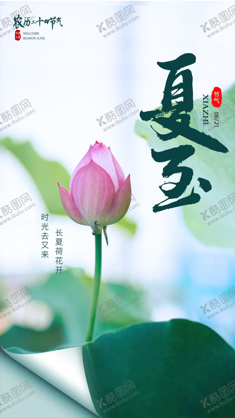 编号：91732002101858392855【酷图网】源文件下载-夏至海报
