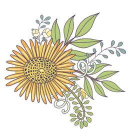 插画小植物