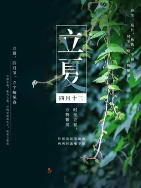立夏地产稿高端节气稿天宣传海报