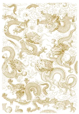 金龙纹免扣纹插画图腾