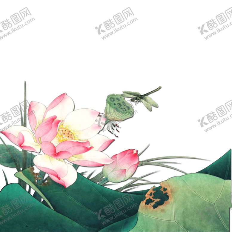 编号：43615810020522563326【酷图网】源文件下载-中国风荷叶荷花绘画