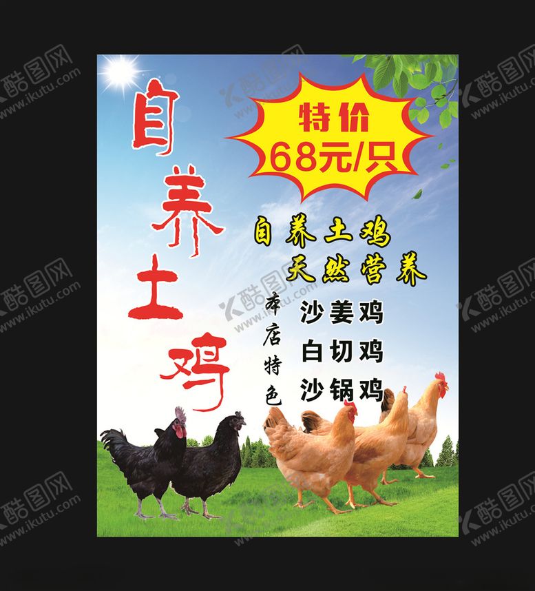 编号：21507806270307371047【酷图网】源文件下载-自养土鸡海报