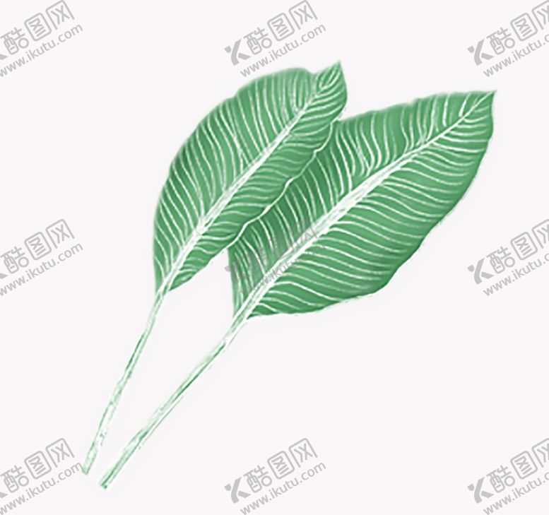 编号：53859605190937467944【酷图网】源文件下载-叶子