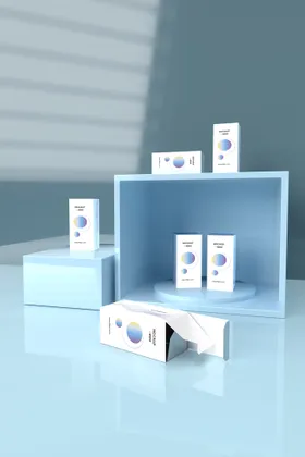 盒子样机素材智能对象提案