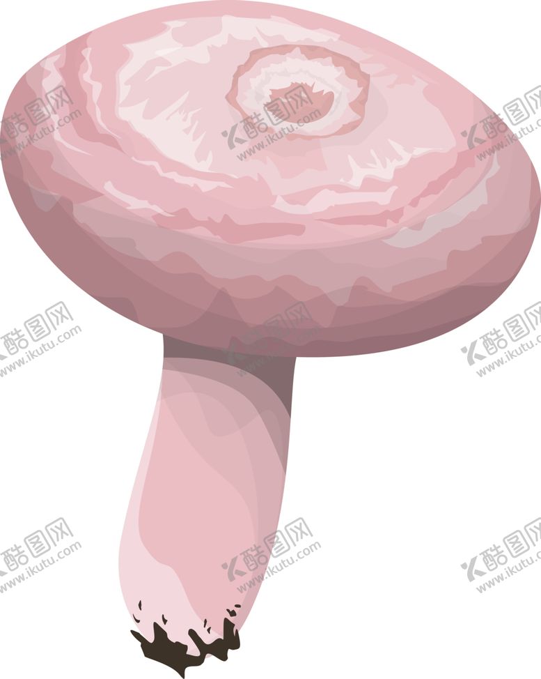 编号：10511402081942269434【酷图网】源文件下载-菌类植物