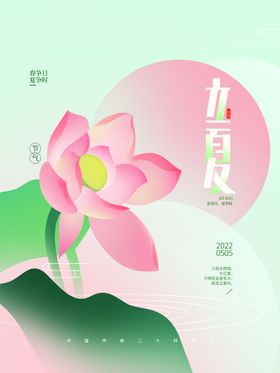 小暑荷花