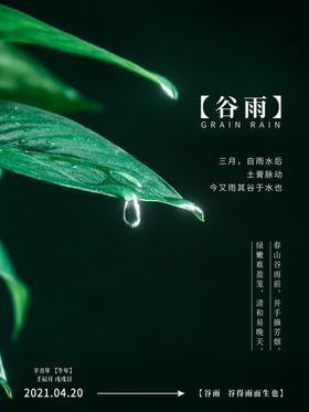 谷雨创意海报