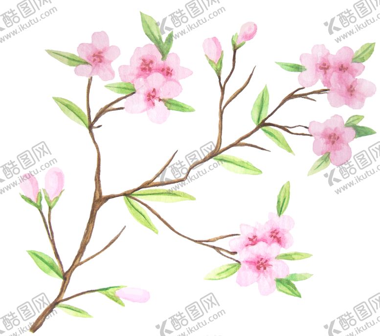 编号：62378510211036098300【酷图网】源文件下载-彩绘枝叶