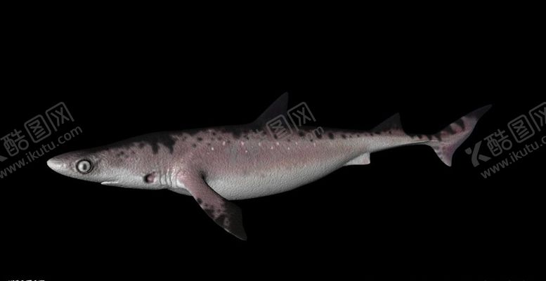 编号：67739009221747119795【酷图网】源文件下载-C4D恐龙模型