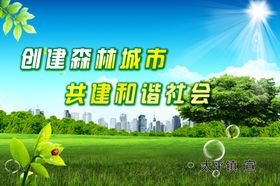 森林城市