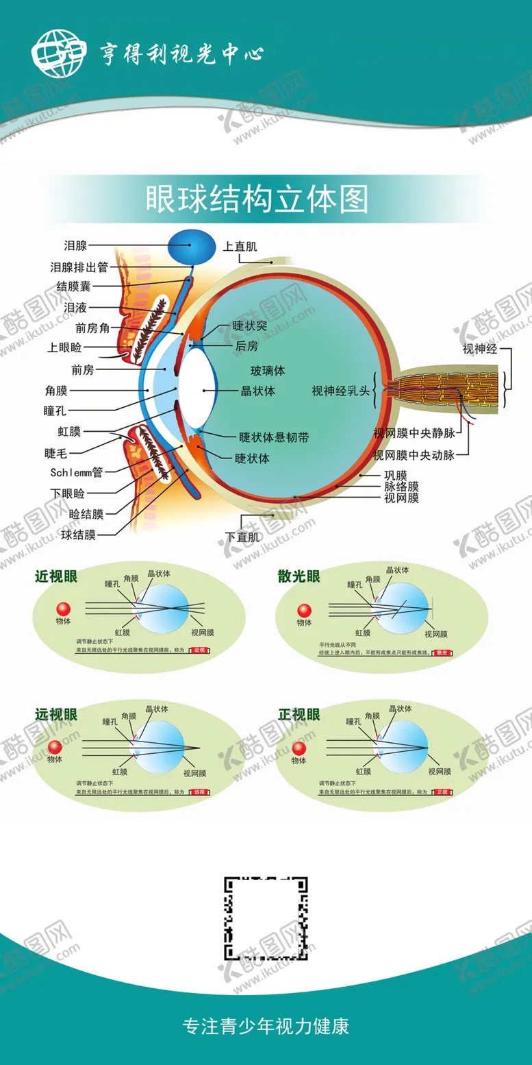 编号：71564101240444141726【酷图网】源文件下载-眼球结构立体图