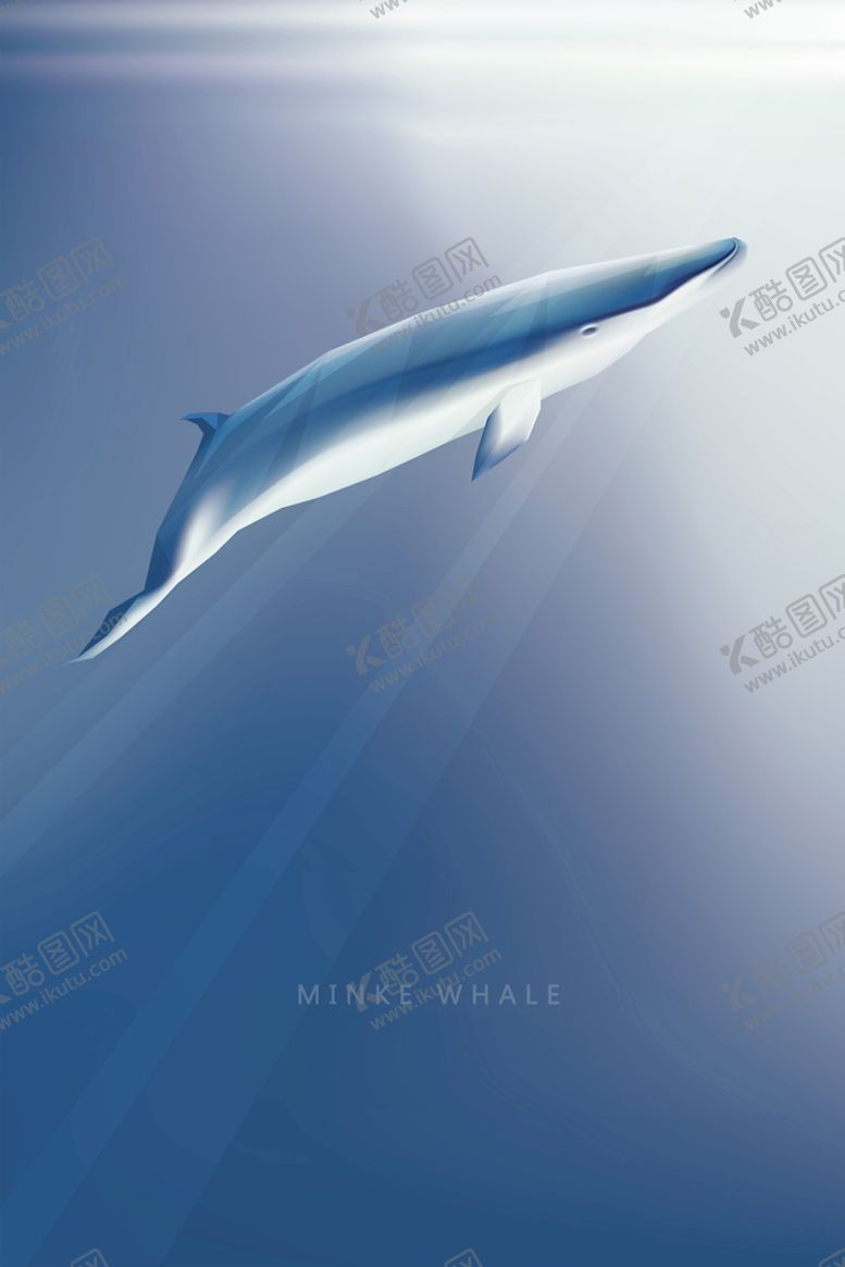 编号：47923109242314174758【酷图网】源文件下载-海豚