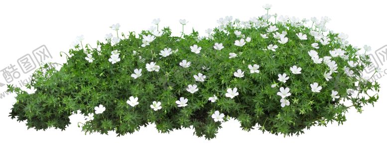 编号：20466709111943259269【酷图网】源文件下载-矮花卉