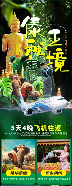 云南旅游西双版纳绿色孔雀大电商详情页