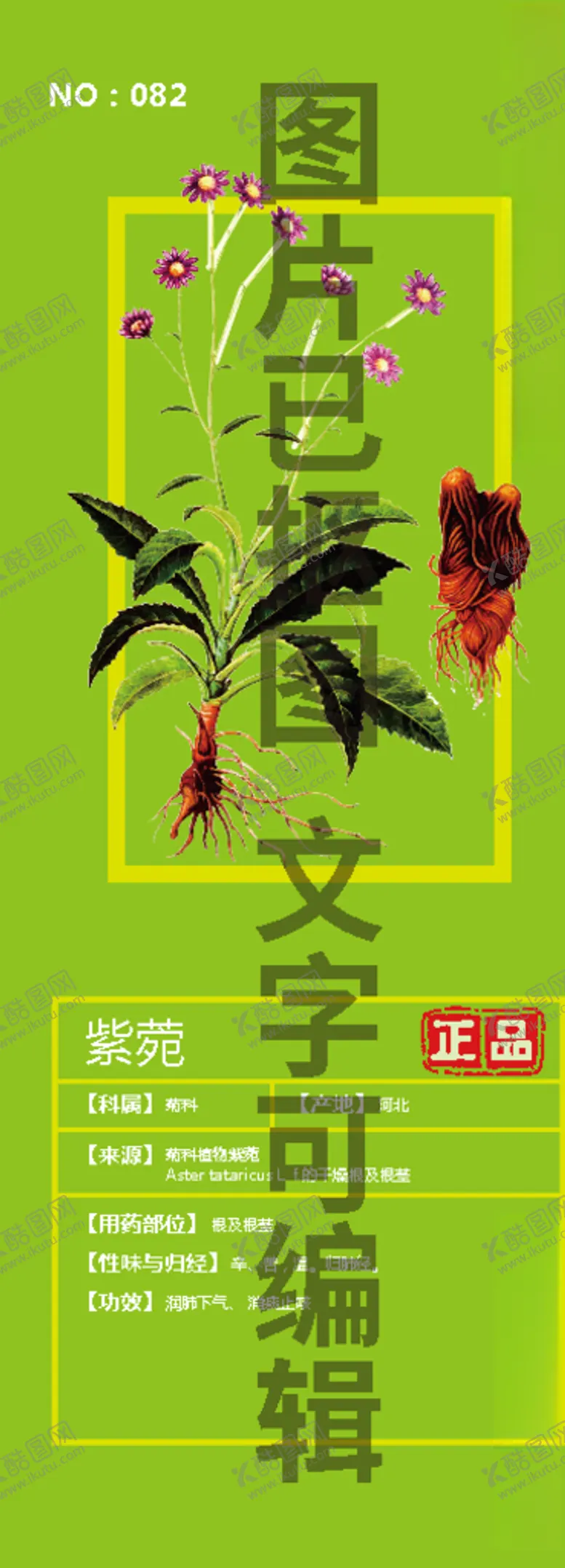 编号：42791906281443531802【酷图网】源文件下载-紫菀