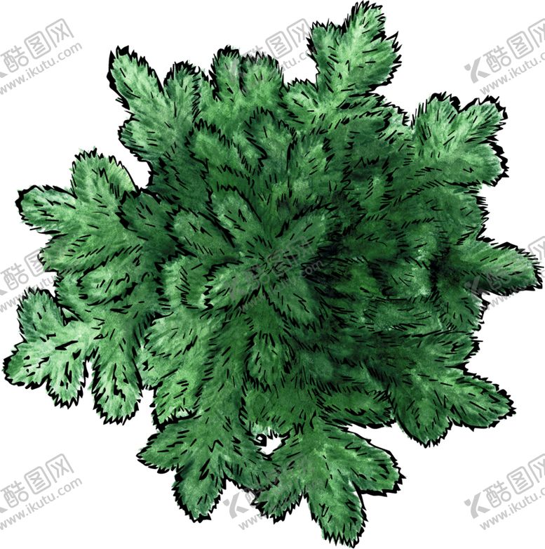 编号：27146904230144133222【酷图网】源文件下载-手绘植物
