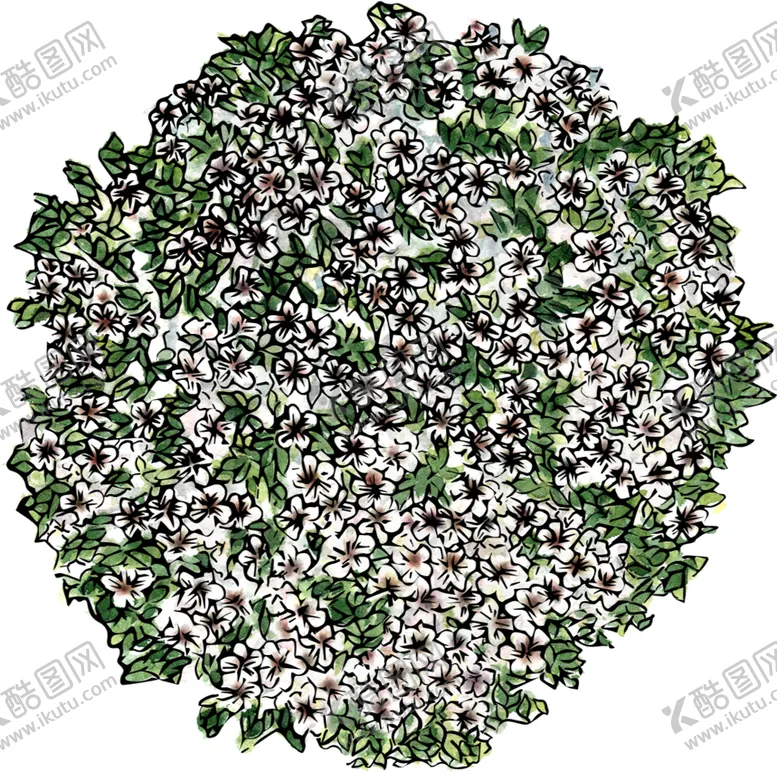 编号：69988807020700012268【酷图网】源文件下载-手绘植物