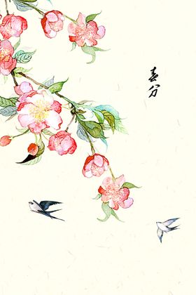 中国传统24节气春分插画海报