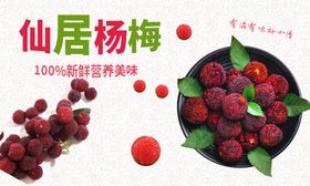 仙居杨梅图片