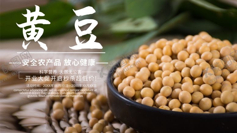编号：36353606240125101835【酷图网】源文件下载-黄豆