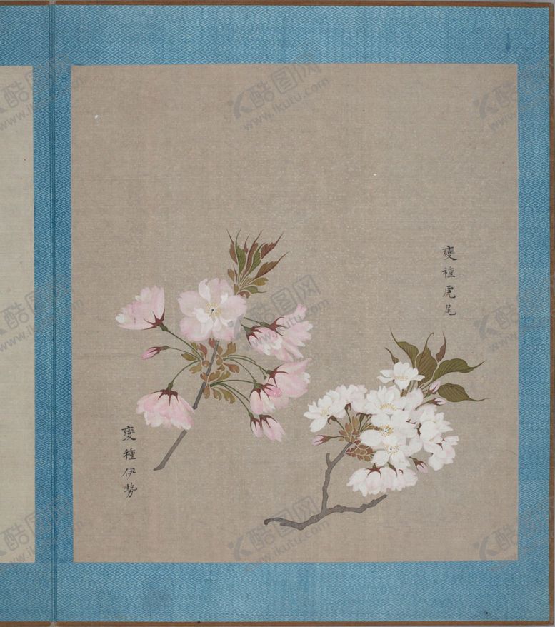 编号：27522603271959577749【酷图网】源文件下载-樱花