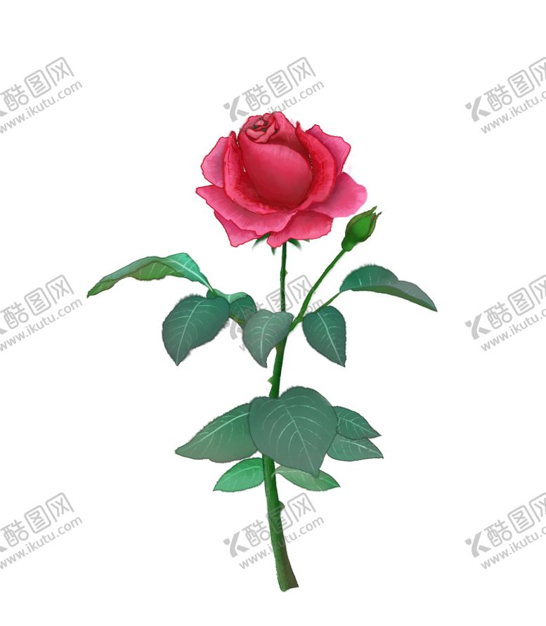 编号：11961312210652249824【酷图网】源文件下载-玫瑰花图片