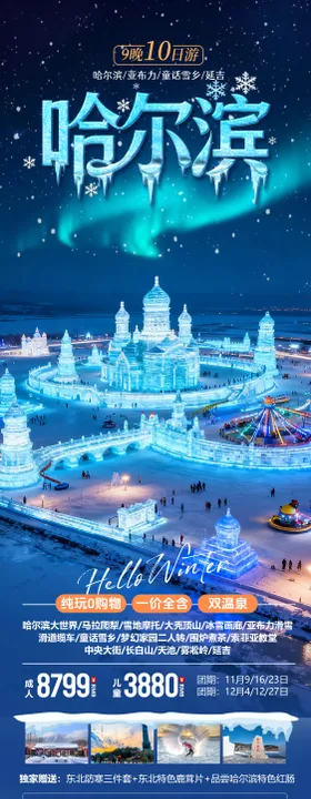 东北哈尔滨冬季冰雪大世界夜景旅游海报