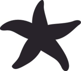 海洋生物系列海星