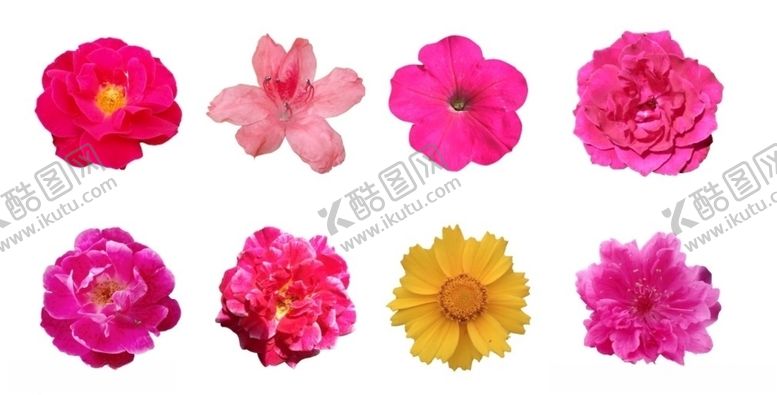 编号：87908405051239197878【酷图网】源文件下载-花朵
