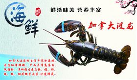 海鲜海报