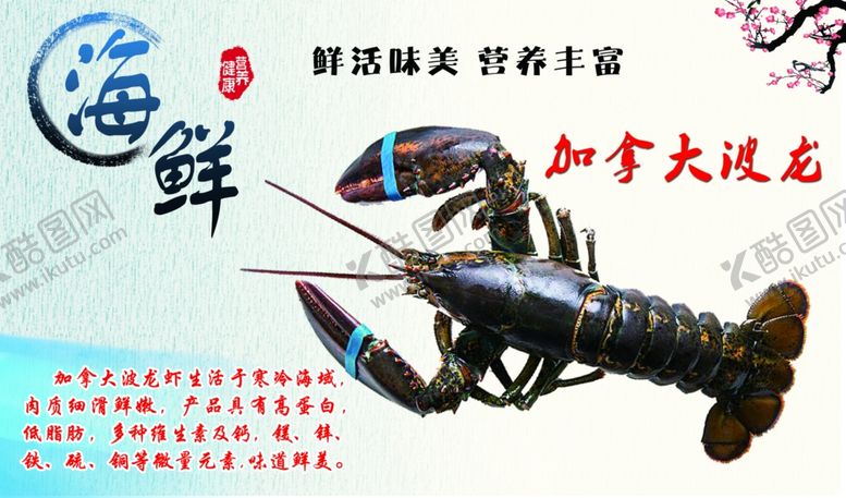 编号：85380310292120046728【酷图网】源文件下载-海鲜海报