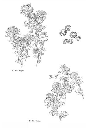 线描花朵