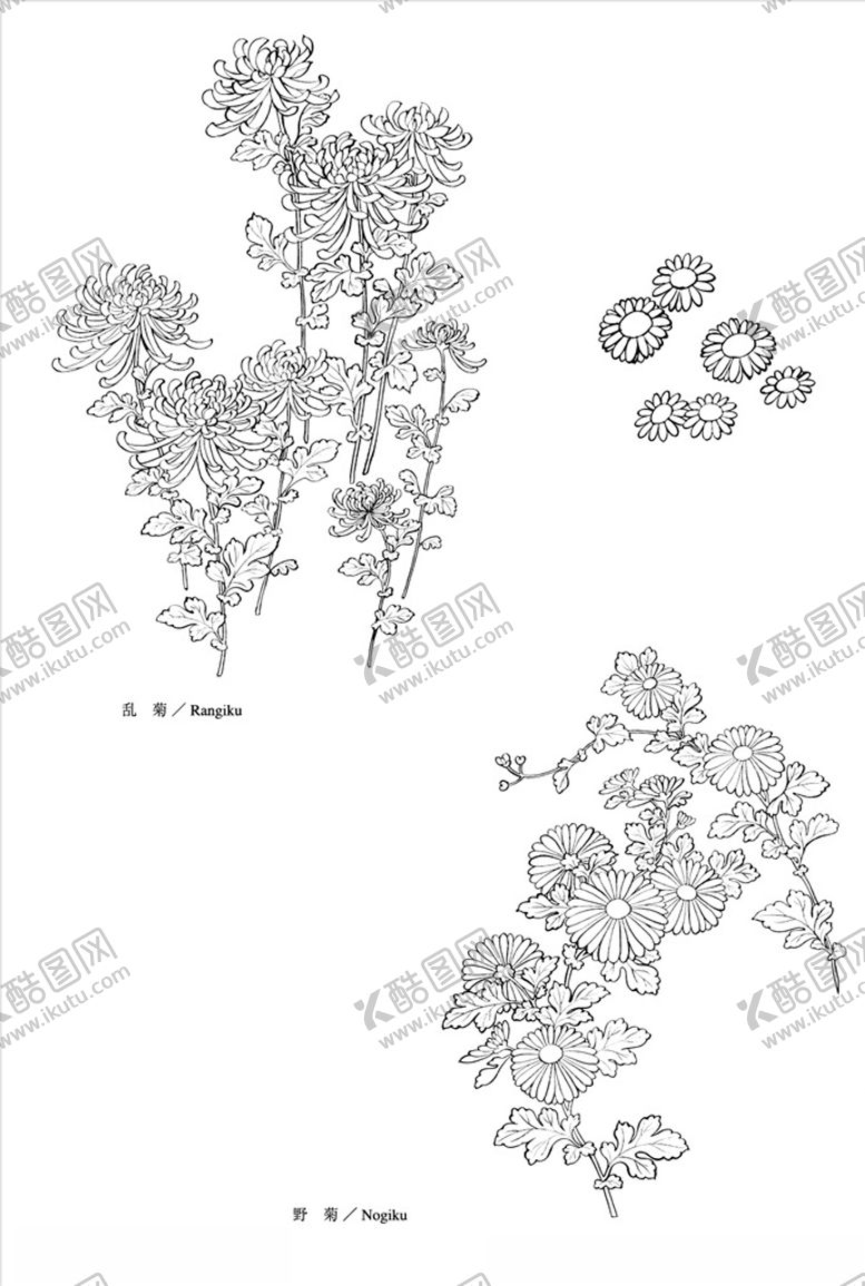 编号：85156907080345059296【酷图网】源文件下载-线描花朵