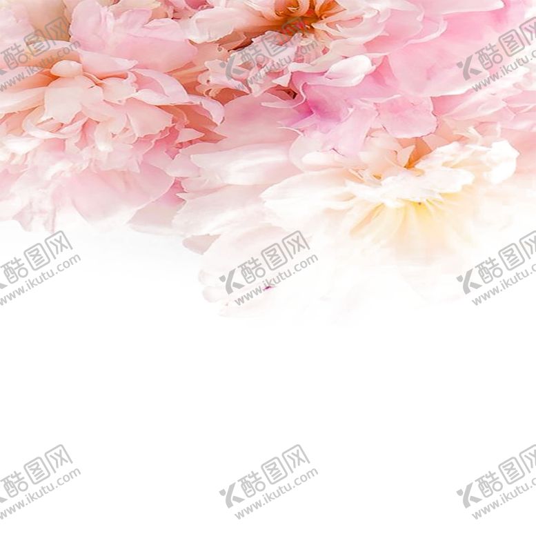 编号：93434105112237206836【酷图网】源文件下载-手绘植物花卉