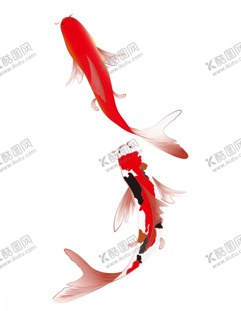 编号：99857406172154379195【酷图网】源文件下载-新年喜庆红锦鲤